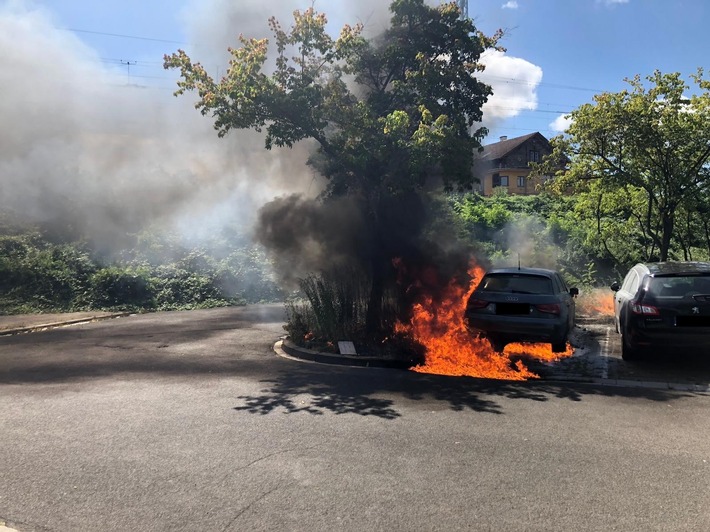 POL-PDNW: Neustadt/Wstr.: Feuerwehr- und Polizeieinsatz wegen Fahrzeugbrand