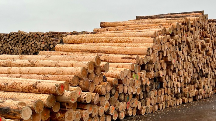 Meilenstein für die Forst- und Holzbranche: DFWR und DeSH besiegeln neue RVWV 2026