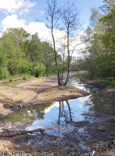 Hainberg-Weiher verliert Wasser - DBU Naturerbe untersucht Bodenbeschaffenheit