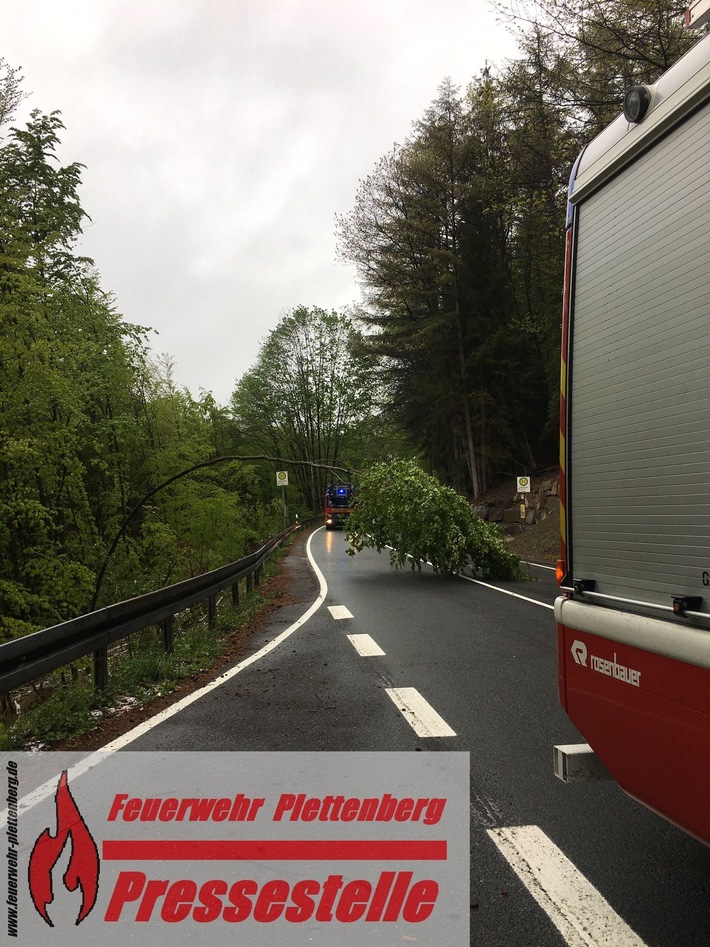 FW-PL: OT-Jeutmecke. Schnee. Baum hält Last nicht Stand und senkt sich auf Fahrbahn ab.