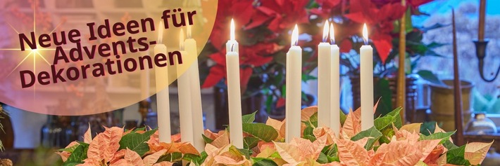 Sternenreicher Lichterglanz: Neue Ideen für Adventsdekorationen mit Weihnachtssternen