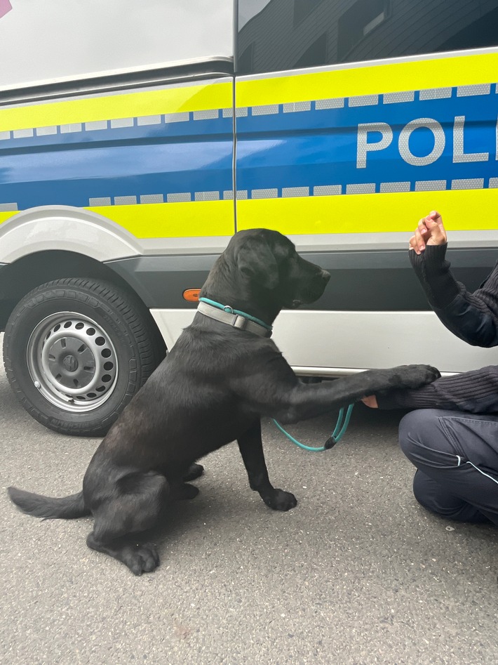 API-TH: Autobahnpolizei rettet ein Hundeleben