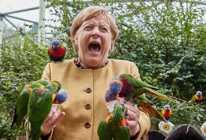 Platz 1 bei den dpa-Bildern des Jahres 2021 in der Kategorie News für Georg Wendt. Motiv: Mecklenburg-Vorpommern, Marlow: Angela Merkel (CDU), ehemalige Bundeskanzlerin, füttert australische Loris im Vogelpark Marlow und wird dabei gebissen. (23.9.2021). Honorarfreie Verwendung nur in Verbindung mit Berichterstattung über die dpa-Bilder des Jahres. Foto: dpa / Georg Wendt / Weiterer Text über ots und www.presseportal.de/nr/8218 / Die Verwendung dieses Bildes ist für redaktionelle Zwecke unter Beachtung ggf. genannter Nutzungsbedingungen honorarfrei. Veröffentlichung bitte mit Bildrechte-Hinweis.