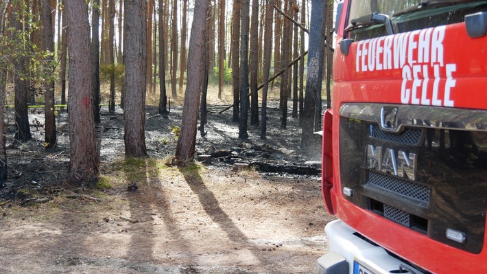 FW Celle: Weiterer Waldbrand zwischen Scheuen und Hustedt sowie Rauchentwicklung im Bereich Hustedt!