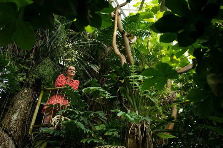 Regenwaldhaus im Botanischen Garten ab April wieder geöffnet