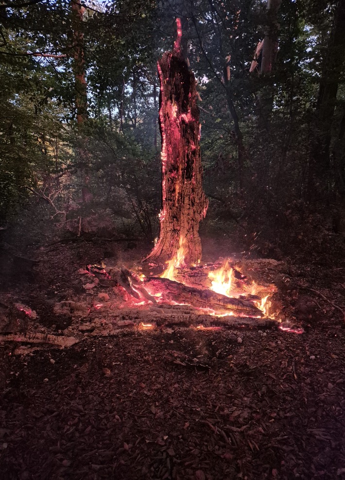 FW-EN: Ölspur und Waldbrand