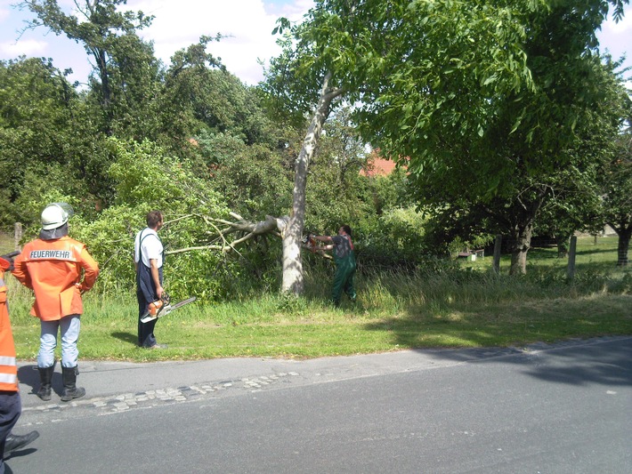 POL-HI: Elze - Wittenburg: Baum droht auf Fahrbahn zu stürzen