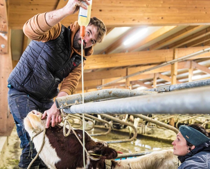 Medienmitteilung: Versorgungsengpässe bei Tierarzneimitteln: Bundesrat lässt Tierärzteschaft allein