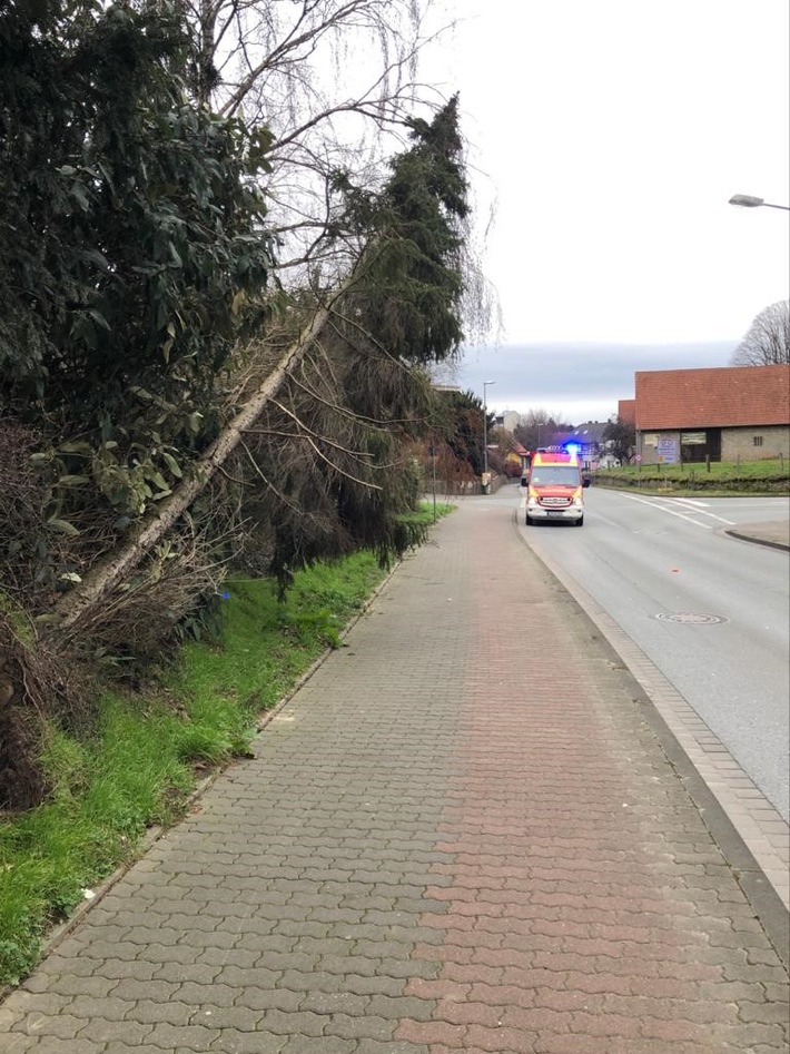 FW-DT: Bilanz Sturm Sabine