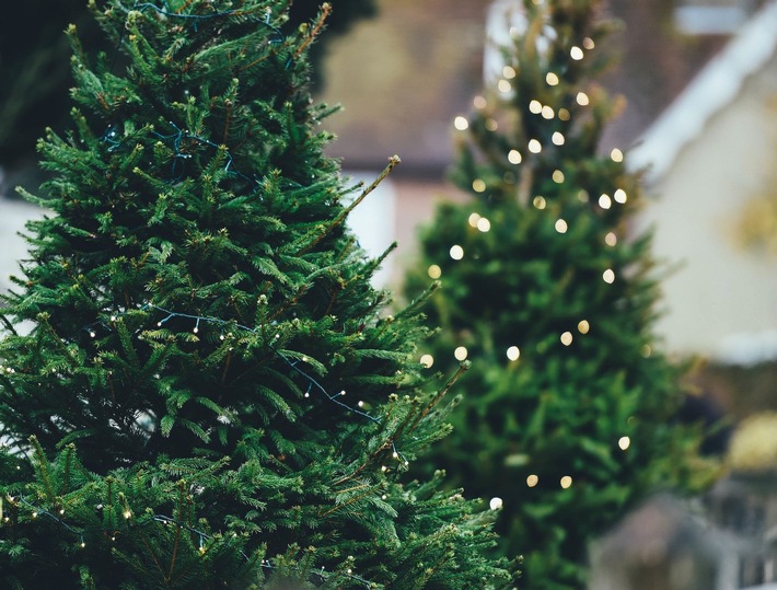 Von Online-Weihnachtsbaumverkauf bis Fair Trees: Mehr Service rund um Weihnachten