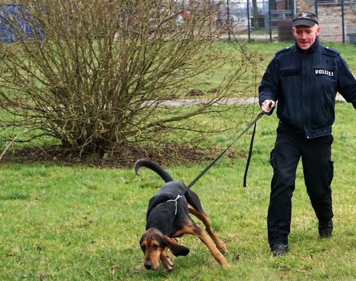 POL-HRO: Polizeihund Helge findet vermisstes Mädchen in Rostock