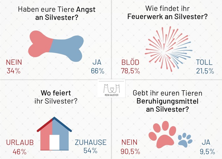 Silvester: Der blanke Horror für Haustiere?