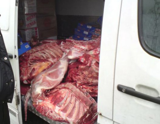 POL-F: 091215 - 1582	Fleischlieferant transportiert 514 Kilo Rinder- und Kalbshälften lose und unverpackt; Anhang beachten!!
