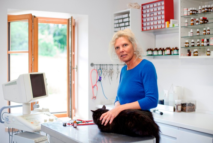 So viel Wasser brauchen Hunde, Katzen & Co. / Trinkverhalten von Haustieren