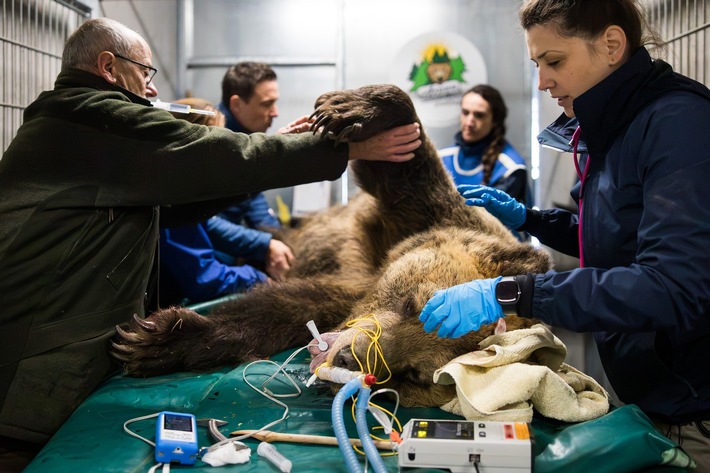 Meimo und Jamila erfolgreich veterinärmedizinisch untersucht
