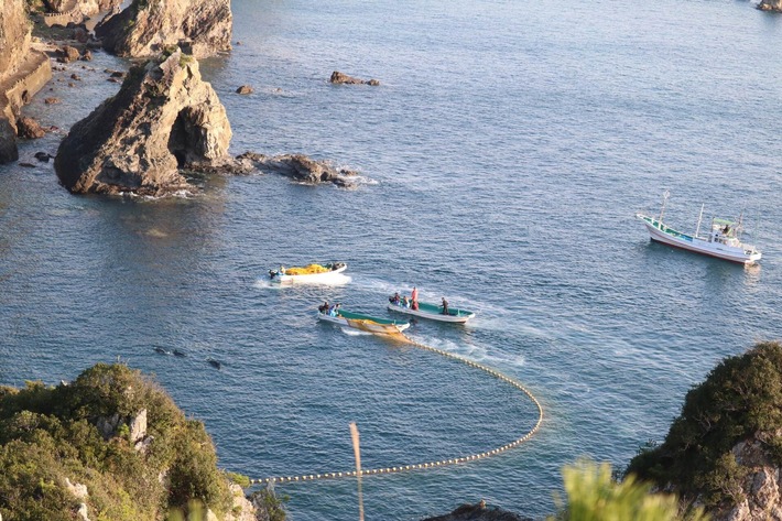 Japan Dolphins Day: Appell an Reiseanbieter, die Delfinjagd in Taiji zu stoppen