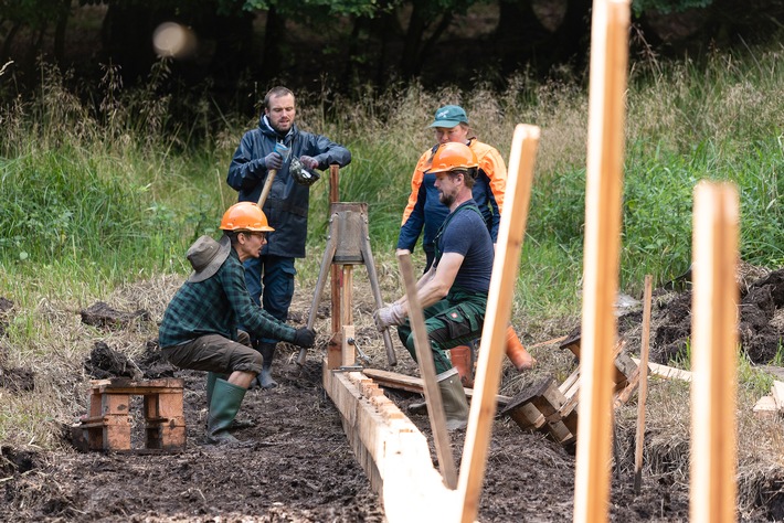 Für Klima- und Artenschutz: 60 Bergwaldprojekt-Freiwillige arbeiten im 6. Jahr für die Moorwiedervernässung im Nationalpark Jasmund