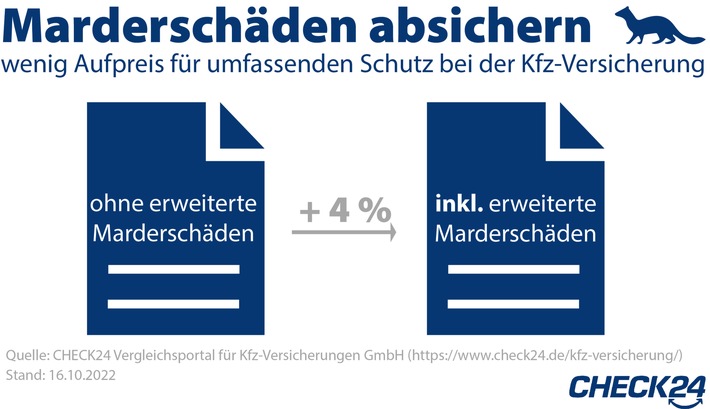 Kfz-Versicherung: Marderschäden günstig absichern - darauf sollte man achten