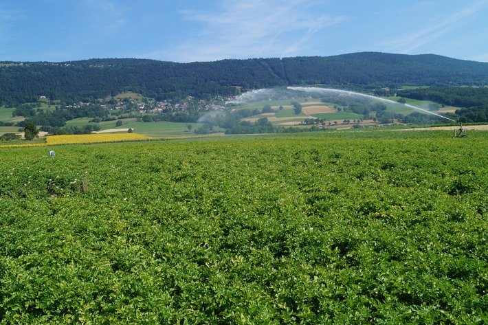 Communiqué de presse: Des données standardisées pour une meilleure irrigation