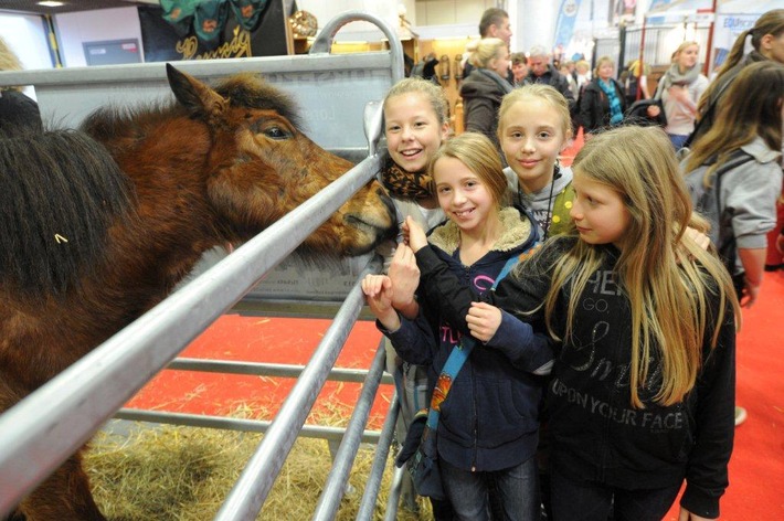 Großer Spaß für kleine Besucher: HIPPOLOGICA mit Pferdemärchen, Eselführerschein und Indianerabenteuer (FOTO)