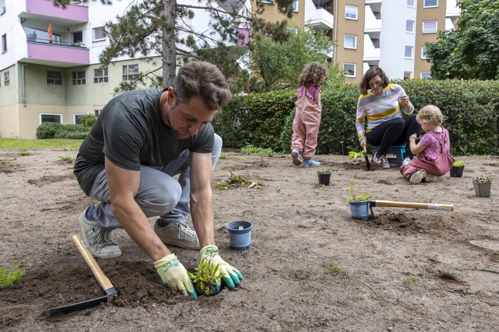 Berlin: Thermometersiedlung schafft Grundlage für mehr biologische Vielfalt