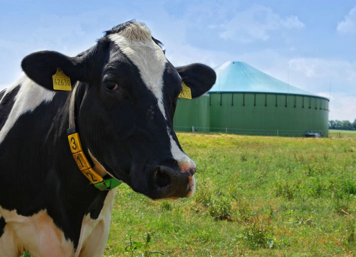 Klimaschutzbeitrag von Biogas droht wegzubrechen