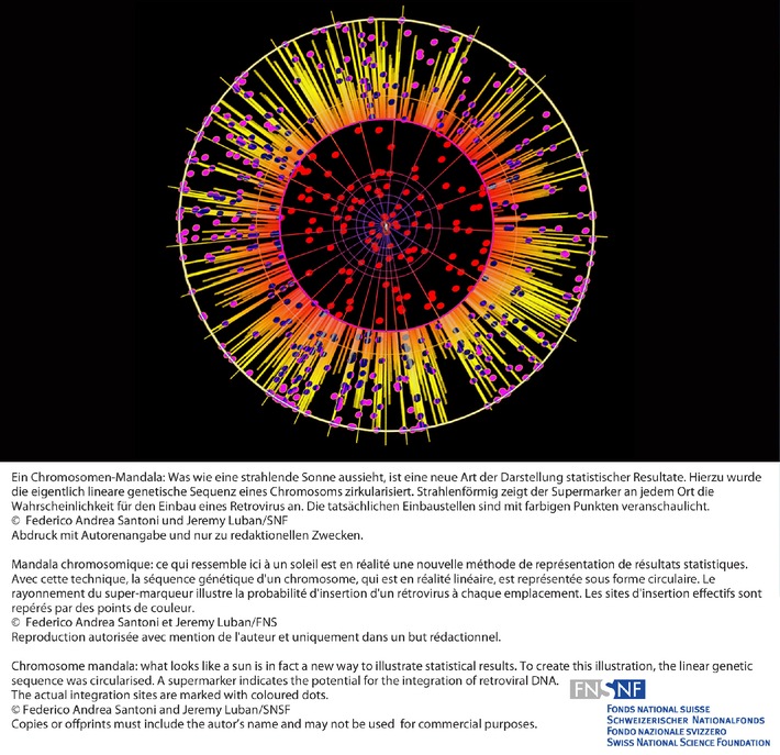 SNF: Bild der Forschung Februar 2011: 
Kartierung von Stellen, an denen Retroviren bevorzugt ihr Erbgut einbauen