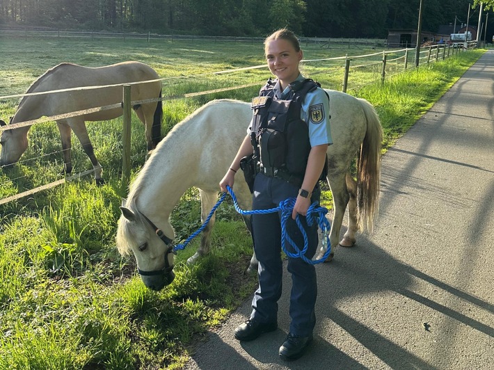 BPOL NRW: Pony steht auf Bahnübergang - Ein nicht ganz alltäglicher Einsatz für die Bundespolizei