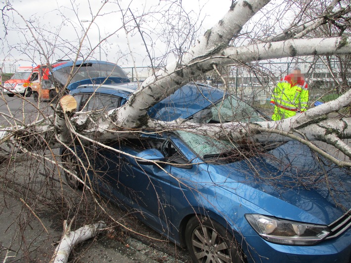 POL-REK: 200225-1: Entwurzelter Baum stürzte auf fahrendes Auto - Hürth