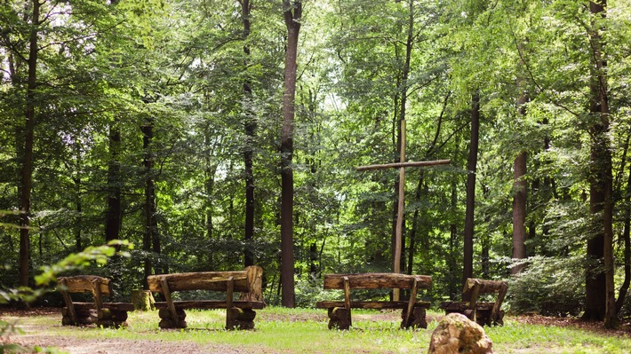 Rückblick auf zehn Jahre FriedWald Herborn