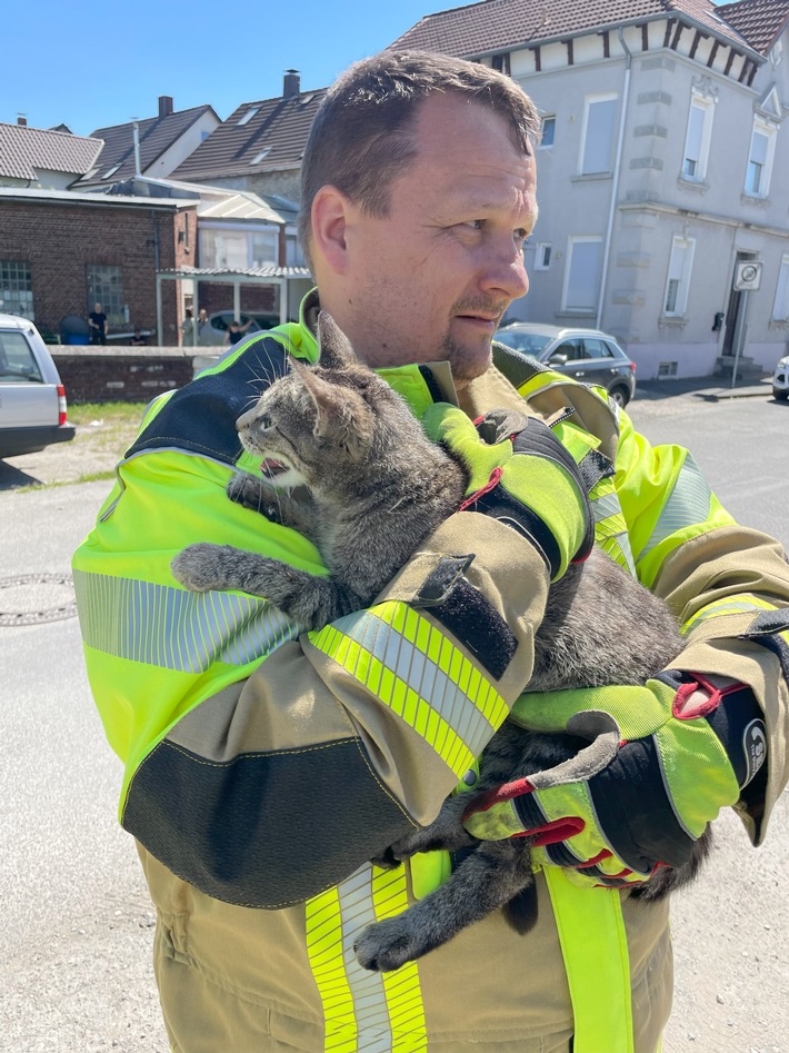 FW Lage: TH0/Tier klein: Katze klemmt im gekippten Fenster - 10.05.2025 - 11:27 Uhr