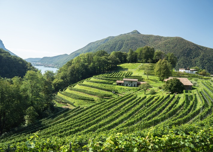 Tipps für Spätsommer und Herbst im Tessin / Kultur- und Naturerlebnisse für abwechslungsreiche Ferientage