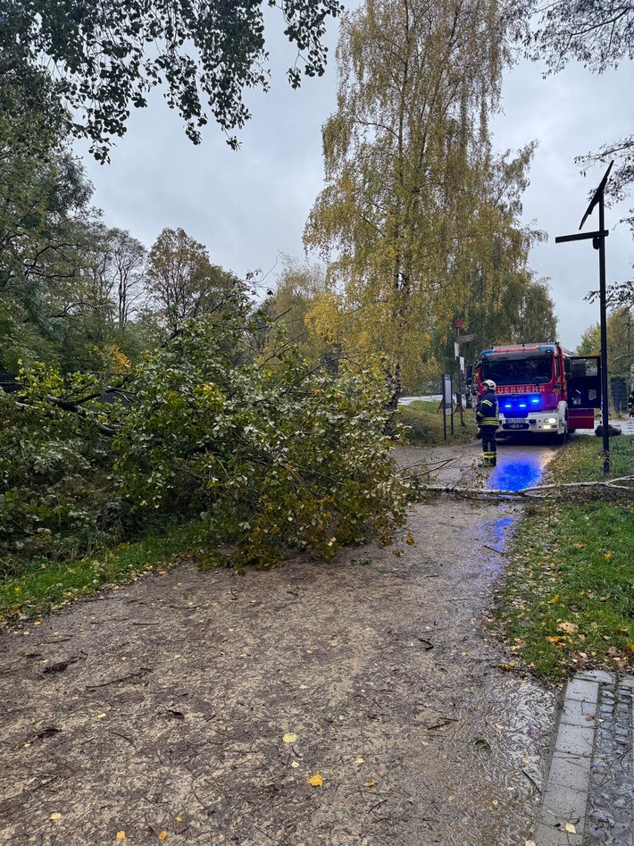FW-EN: Umgestürzte Bäume auf Radweg