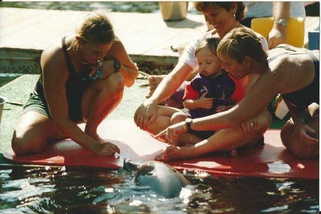 Deflintherapie von dolphin aid. Weiterer Text über ots und www.presseportal.de/nr/111206 / Die Verwendung dieses Bildes ist für redaktionelle Zwecke honorarfrei. Veröffentlichung bitte unter Quellenangabe: "obs/Wal- und Delfinschutz-Forum (WDSF)/WDSF (frei verfügbar)"