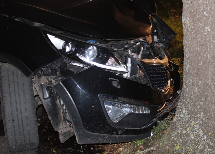 POL-MI: Auto prallt gegen Baum - Fahrer schwer verletzt