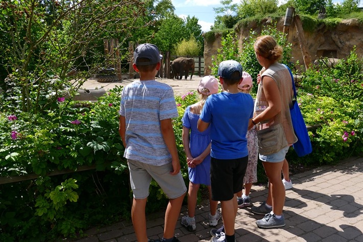 Moderne Zoos: Jetzt gemeinsam Handeln / Zooverband setzt auf Bildung und Engagement für den Schutz bedrohter Arten