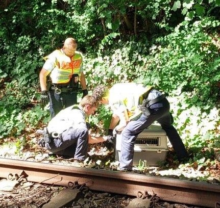 BPOL-HH: Gänse aus dem Gleisbereich gerettet