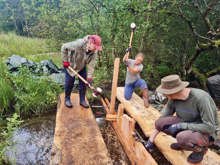 Rheinland-Pfalz&#039; torfmächtigstes Moor wird von Freiwilligen des Bergwaldprojekts unter Wasser gesetzt