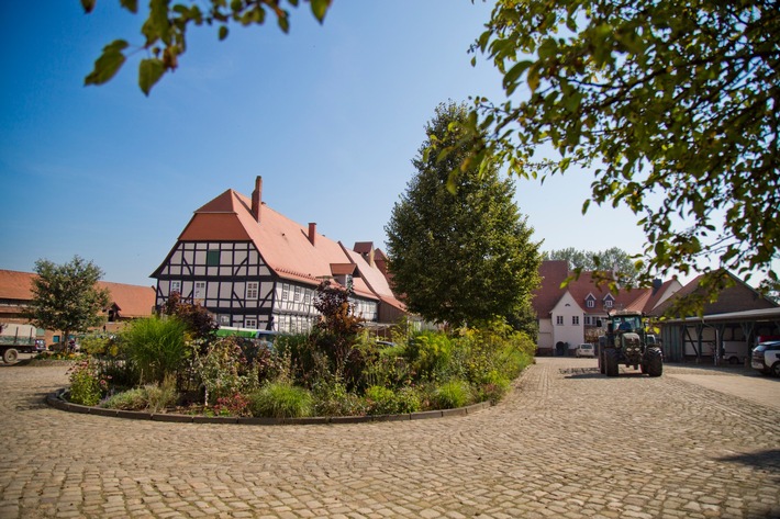 Können Kümmel und Koriander der Landwirtschaft im Klimawandel helfen? Neuer LOEWE-Schwerpunkt