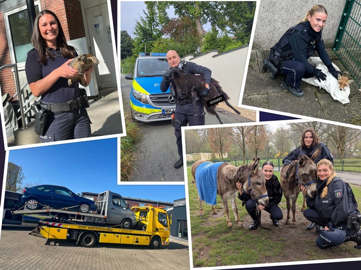 POL-BO: Rückblick 2025: Neun verrückte Polizeigeschichten aus Bochum, Herne und Witten
