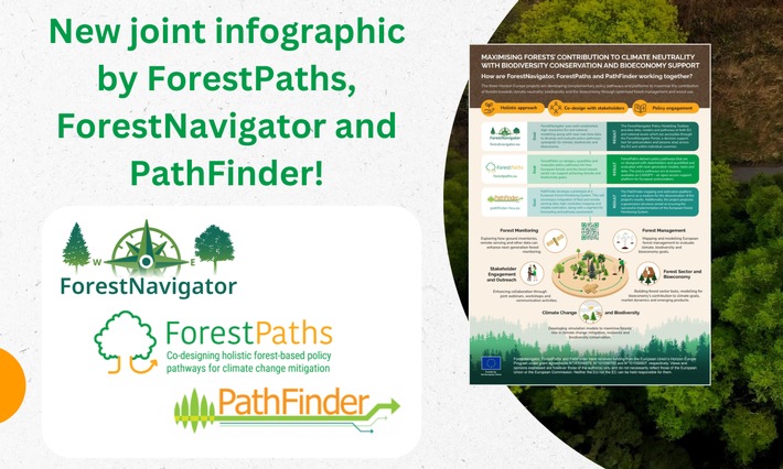 Forests’ role in addressing climate and biodiversity challenges