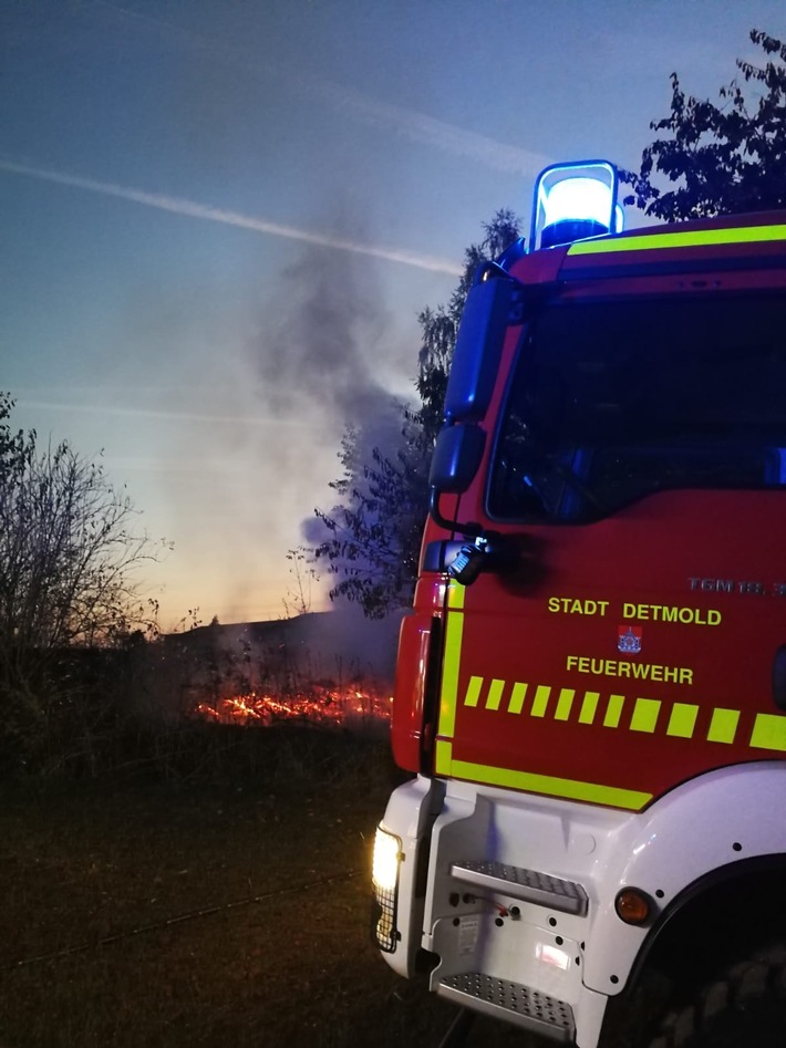 FW-DT: Gartenfeuer