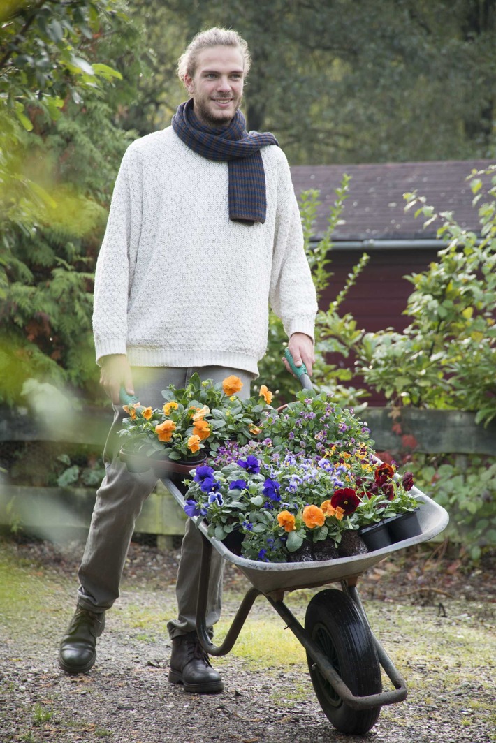 Materialmix mit unterschiedlichen Veilchenarten / Stimmungsvoll im Herbst dank Stiefmütterchen & Co. (FOTO)