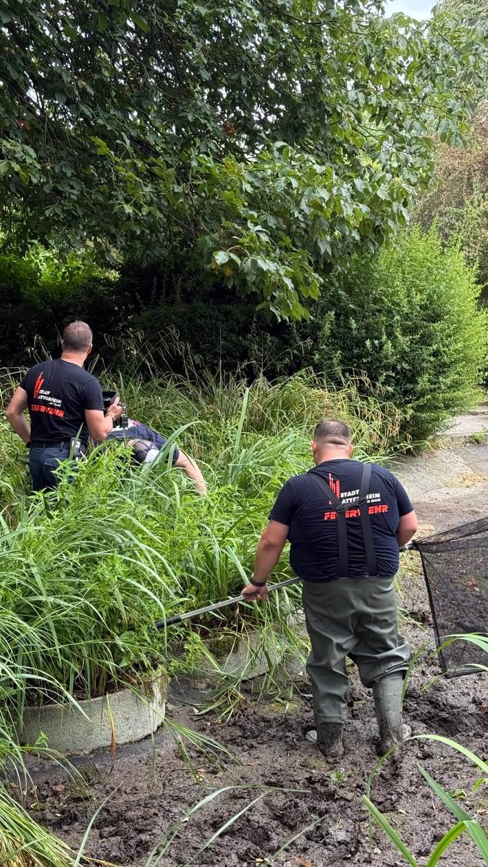 Feuerwehr MTK: Drei Einsätze an einem Tag: Gebäudebrand, Tierrettung und Aufzugsrettung