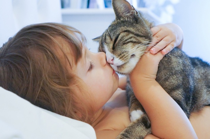 Presse-Info: Der ZZF zum Weltkatzentag: Fünf Gründe für ein Leben mit Katze