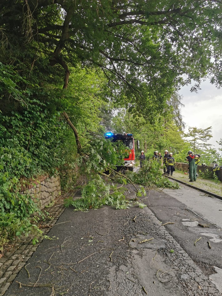 FW-EN: Wetter - Ast über Fahrbahn