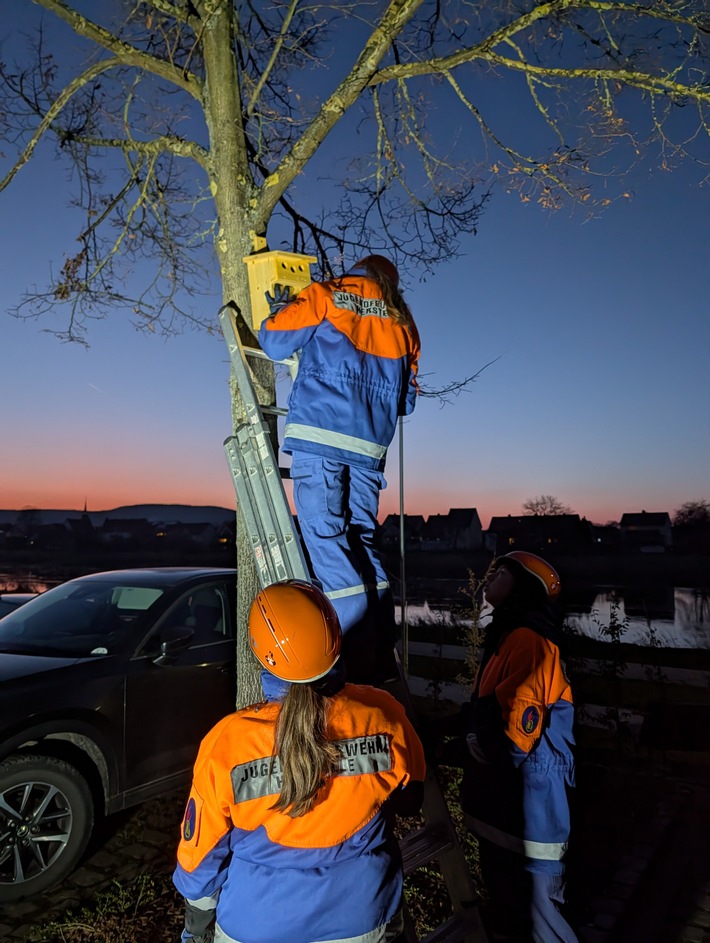 FW Beverungen: Jugendfeuerwehr Herstelle engagiert sich im Naturschutz / Zwölf Vogelnisthilfen für die heimische Natur