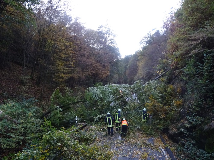 POL-PDTR: Umstürzender Baum auf der K37 beschädigt zwei Pkw