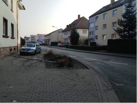 POL-PPWP: Zeugen gesucht: Autofahrer fährt zwei Bäume um