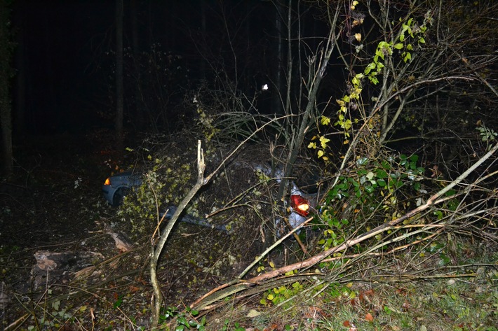 POL-HI: Pkw kommt ins Schleudern und prallt in angrenzendes Waldstück - Unfall endet glimpflich -